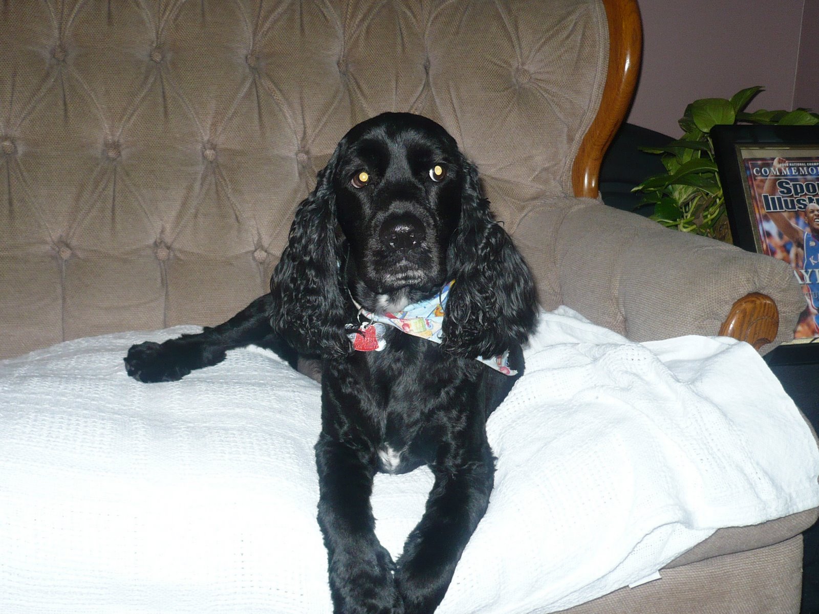 [ColbyAug08+022.jpg]