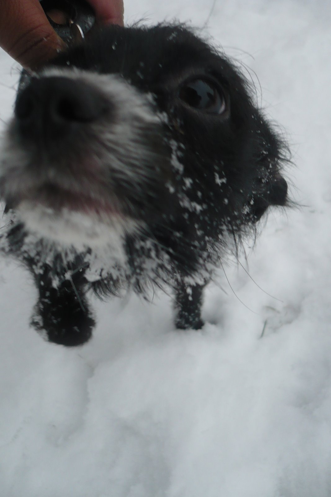 [Winter2008+010.jpg]