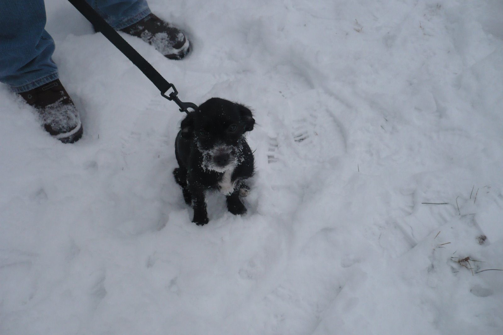 [Winter2008+008.jpg]