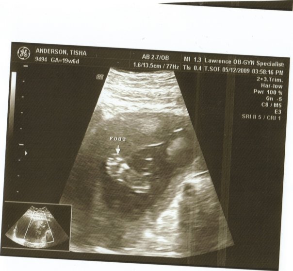 [n82406166_32564497_346448.jpg]