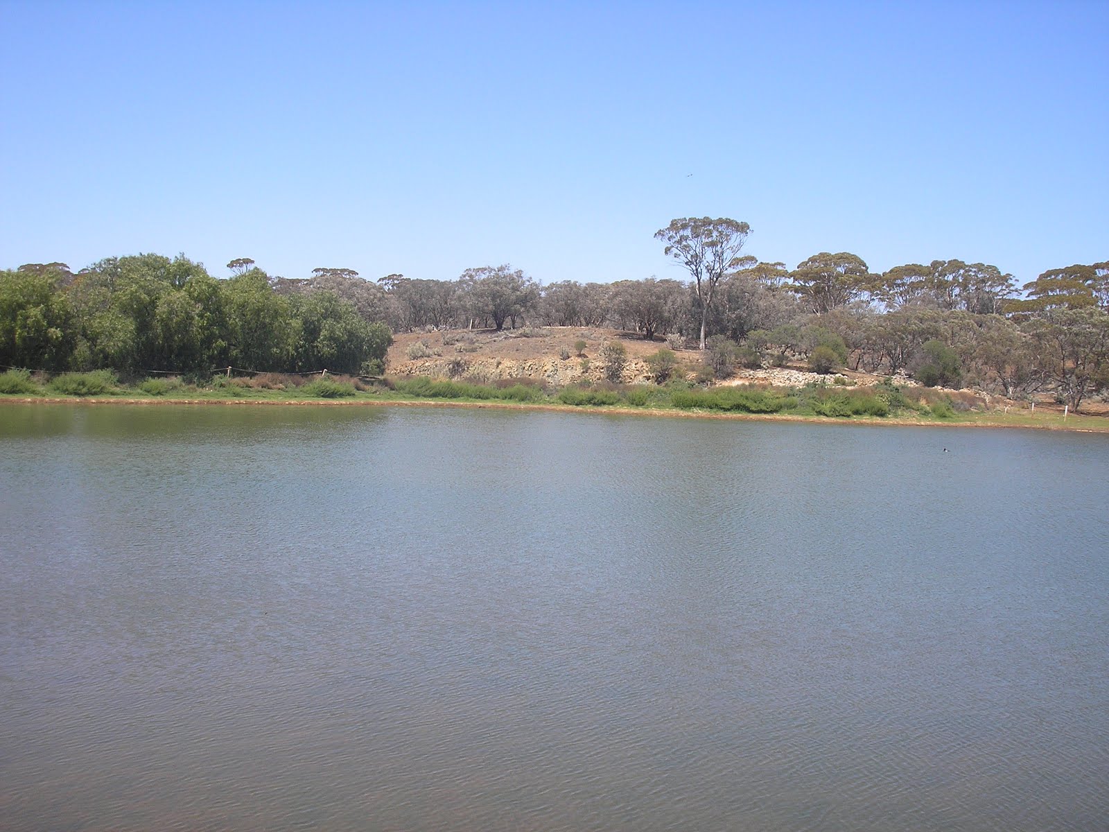 Whereiswitchwae? Coolgardie