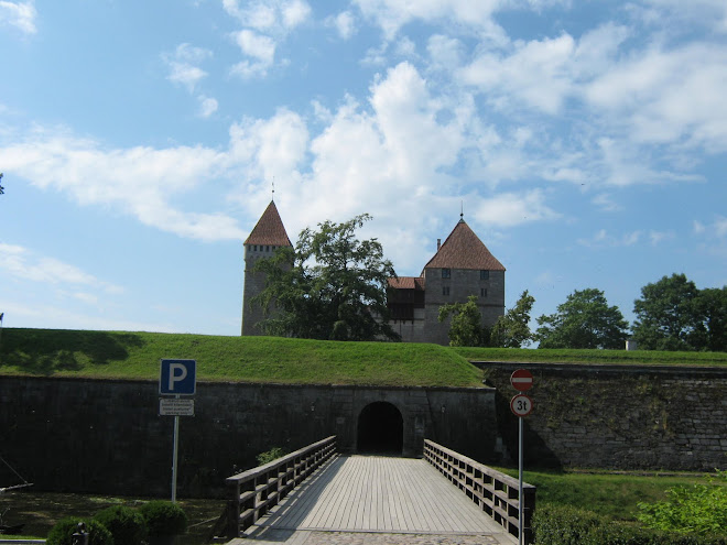 Tempelriddarborg i staden Kurasaare