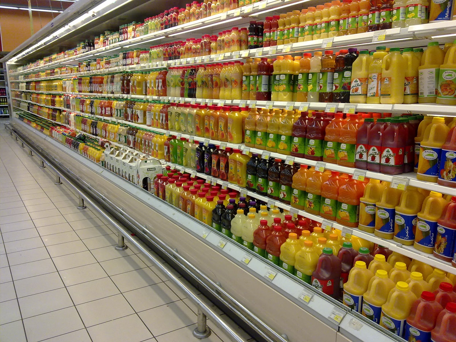 In the Desert 8/15/10 8/22/10