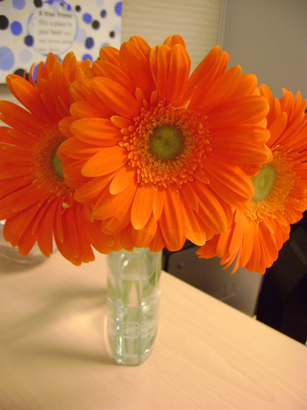 [DSC09049.JPG]