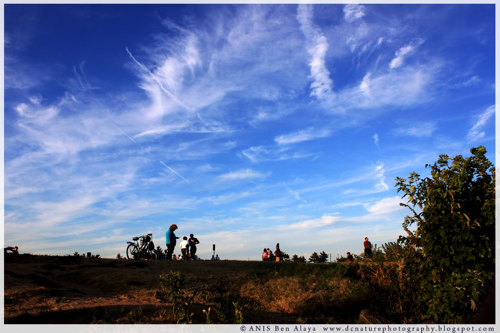 washington-dc-photography-gravelly-point-park