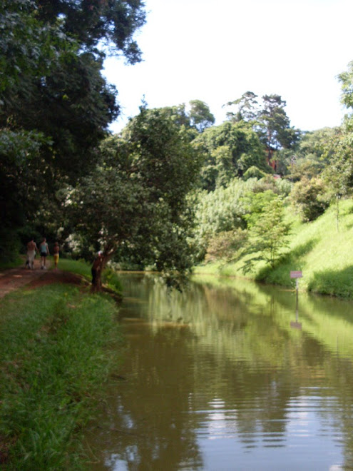 um dos tres lagos no parque dos remedios.