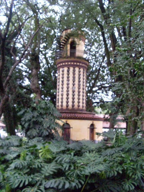 aqui fica um banheiro e em cima fica e em cima fica um viveiro de pombos