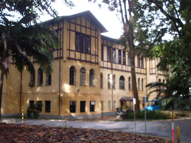 GRANDES CASARÕES EM MEIO AO PARQUE.