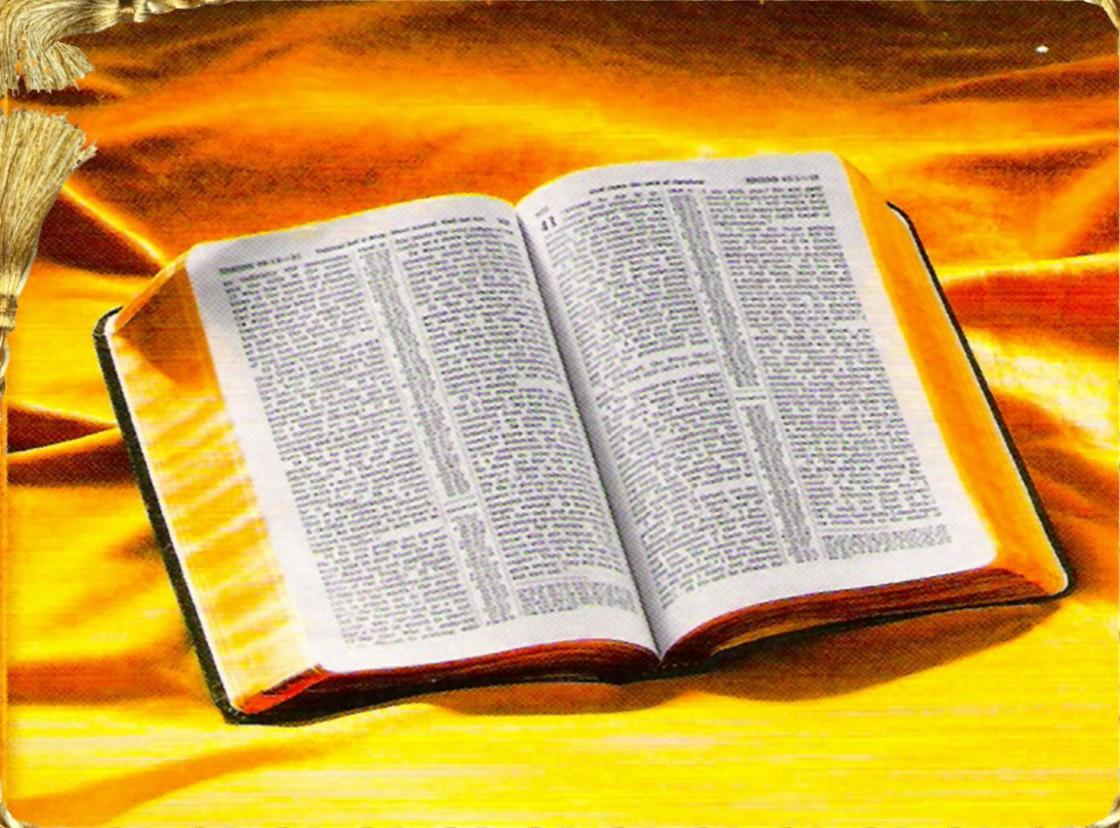 Reflexiones Con Farvelo El Centro De La Biblia