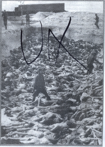 [~lwf0000.jpg]