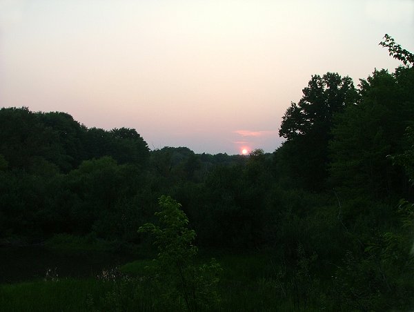 [sunset+west+woods+19192.jpg]