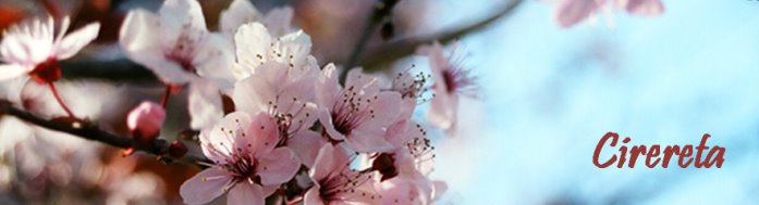 CIRERETA