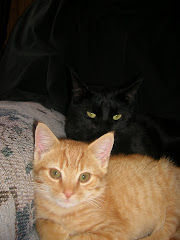 Merlin and Jackson