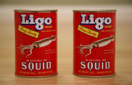 [ligo_squid.jpg]