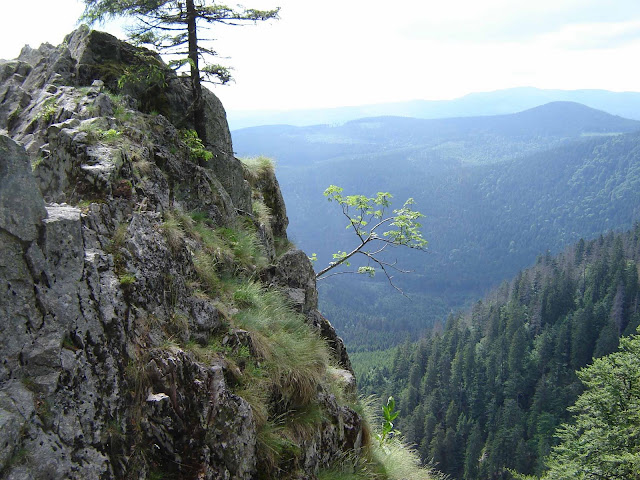 La rimaye: l'amour des montagnes: Le Sentier des Roches (Vosges 06.2008)