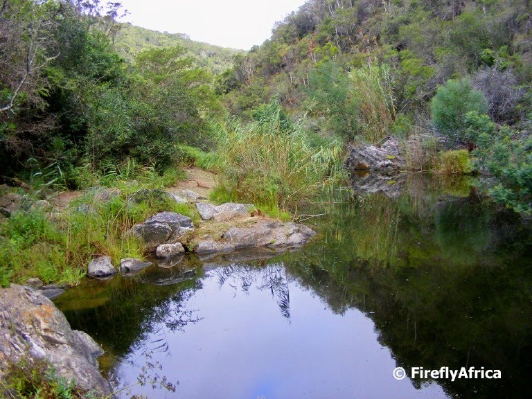 Port Elizabeth Daily Photo August 2010