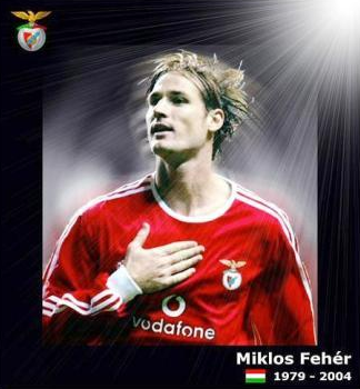 [miklosfeher1ip.png]