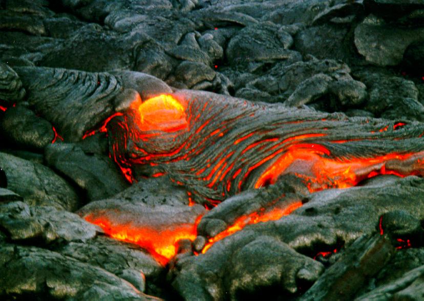 Everything Else: The carpet is hot lava!