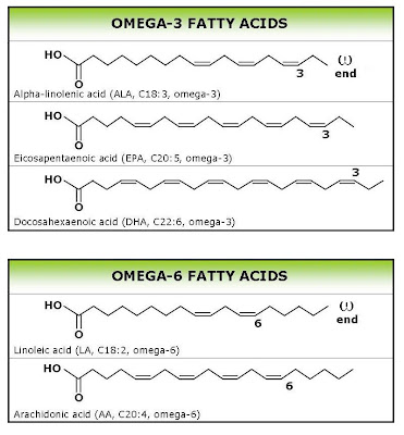Low-Carb for You: More on Omega-3 and Omega-6