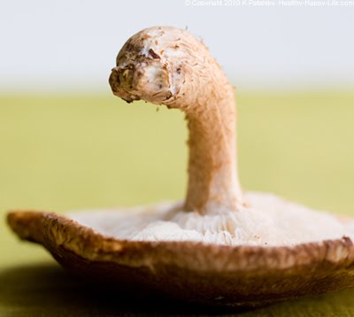 [big-shiitake-mushroom-6.jpg]
