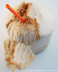 [fresh_coconut1-200.jpg]