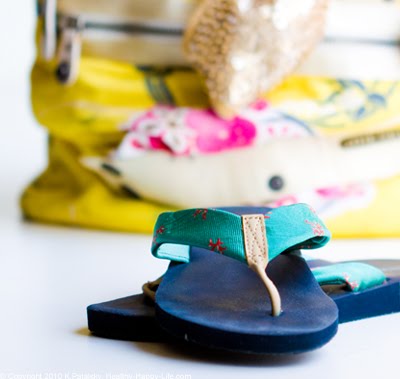 [spring-travel-bag-flips.jpg]