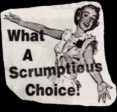 [SCRUMPTIOUSCHOICE.jpg]