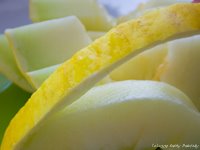 [melon-casaba-200-8.jpg]