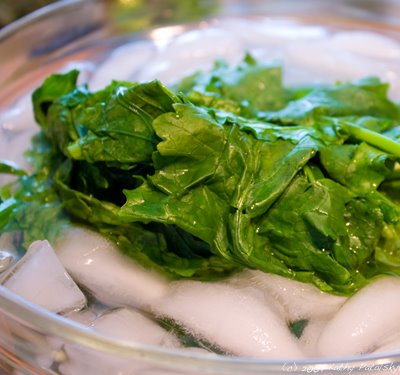 [blanching-tex-400-4.jpg]