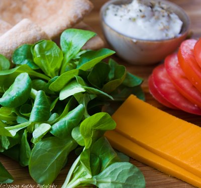 [TMT-PITA-400-3.jpg]