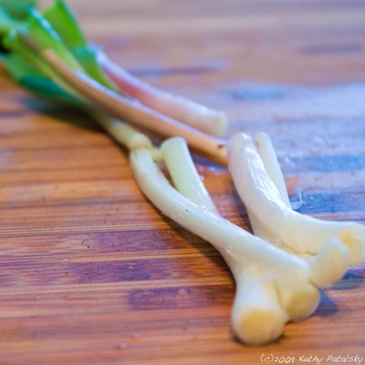 [ramps-400-11.jpg]