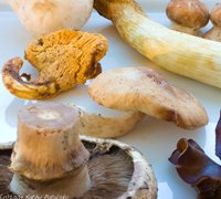 [spicy-mushroom-bowls-200-5.jpg]