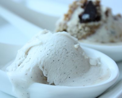 [vanillabean-stogo-400-1.jpg]