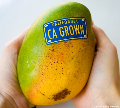 [california-mango-4.jpg]