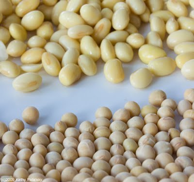 [soybeans-1.jpg]