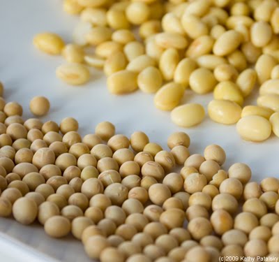 [soybeans-dry-5.jpg]