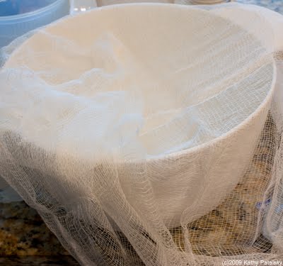 [soybeans-cheesecloth-10.jpg]