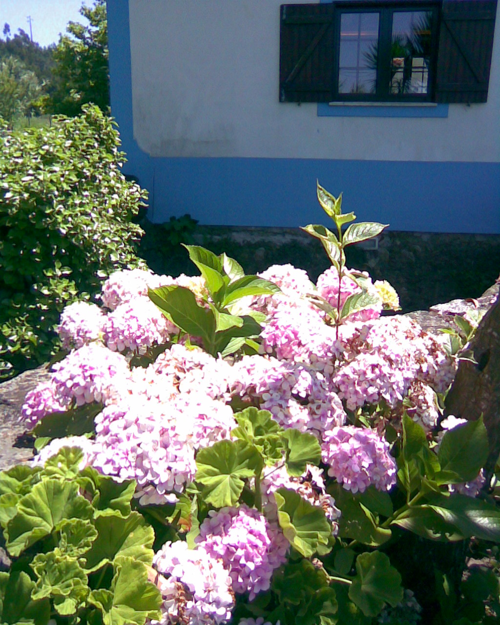 [27junho2008003.jpg]