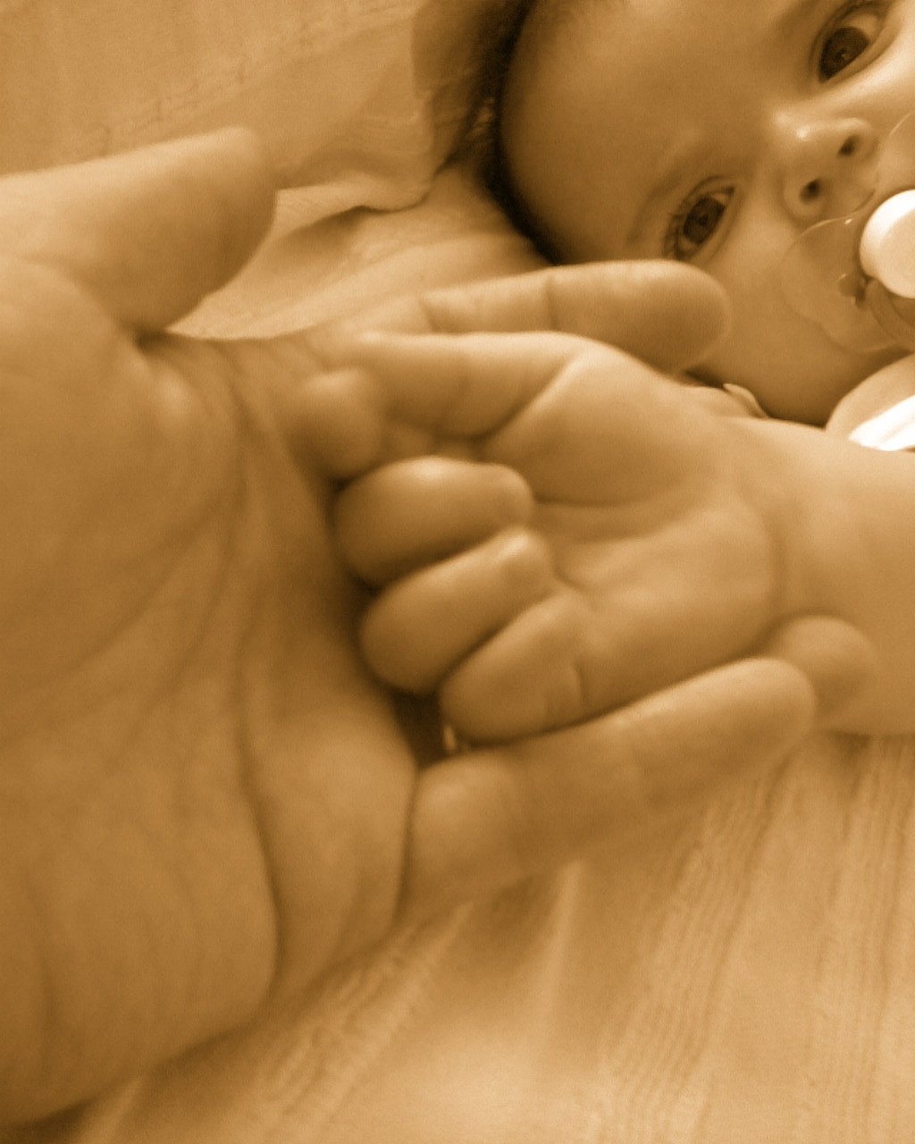 [25-25junho2008007.jpg]