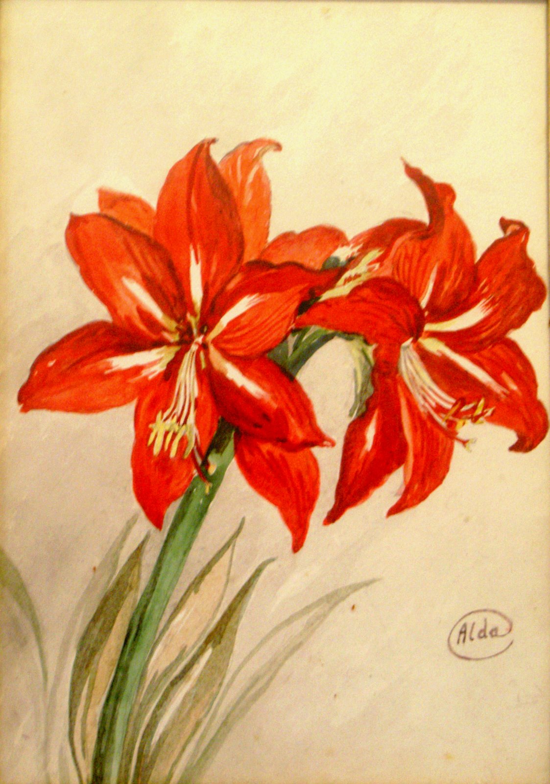 [Flores-AldaSilva.JPG]