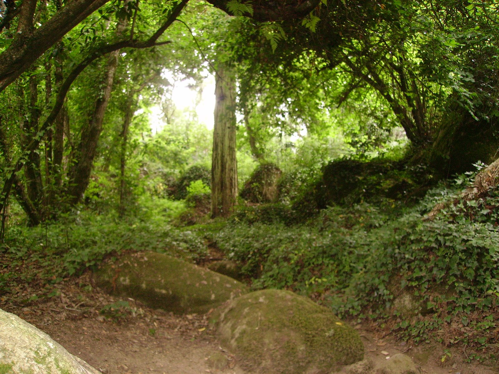 [Capuchos-caminhoparaCapelaSenhorCrucificado.JPG]