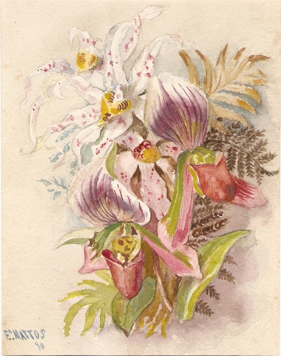 [Digitalizar0001.jpg]