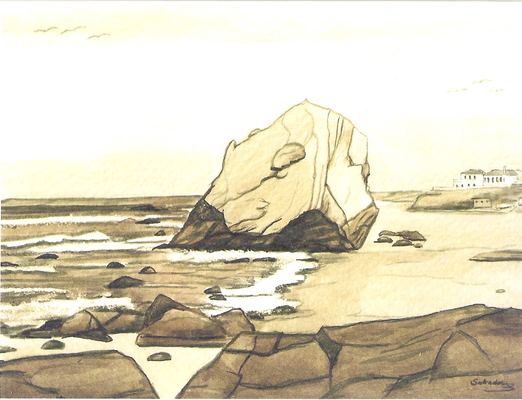 [salavador-santacruz.JPG]