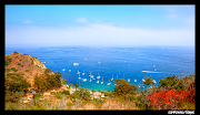 Catalina Island. Unemployment perk #00135. Finally getting around to images . (catalina )