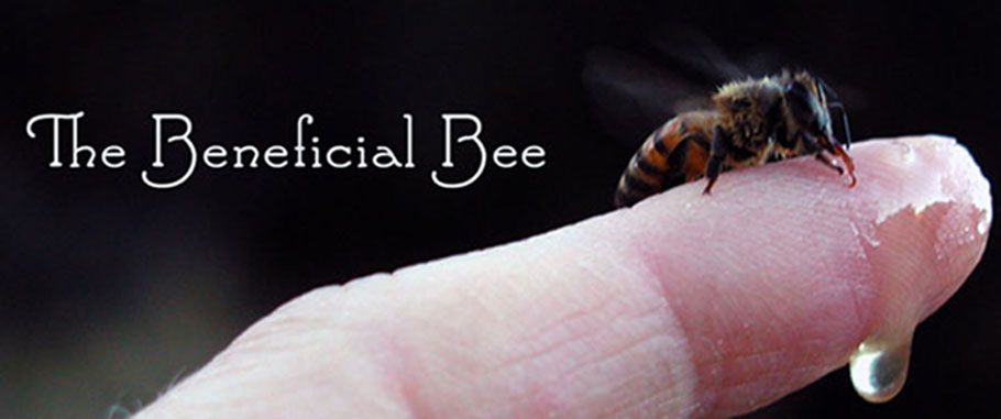 The Beneficial Bee