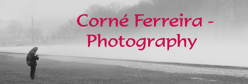 Corne Ferreira - Photography