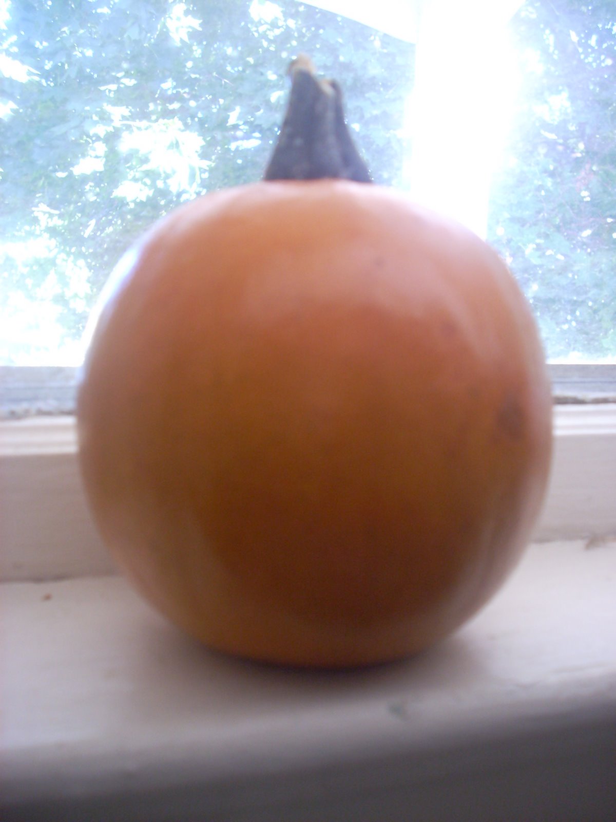[DSCN1365.jpg]