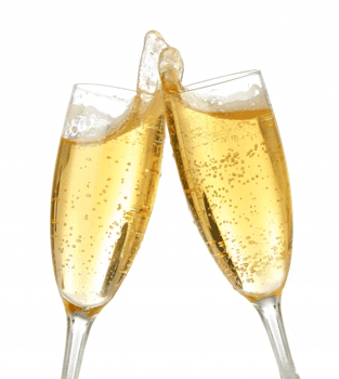 8a8a1champagne.gif