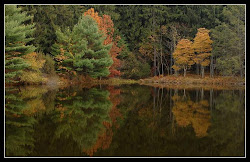 wallpapers nature unique rare colours fall
