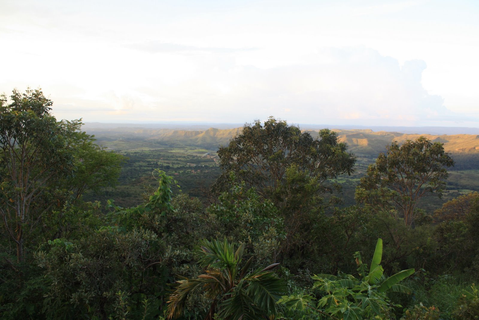 [_2009_03_07_0047.JPG]